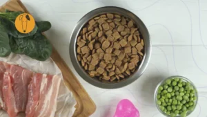 Ingredientes saludables para perro, croquetas con carne y vegetales frescos sobre una mesa