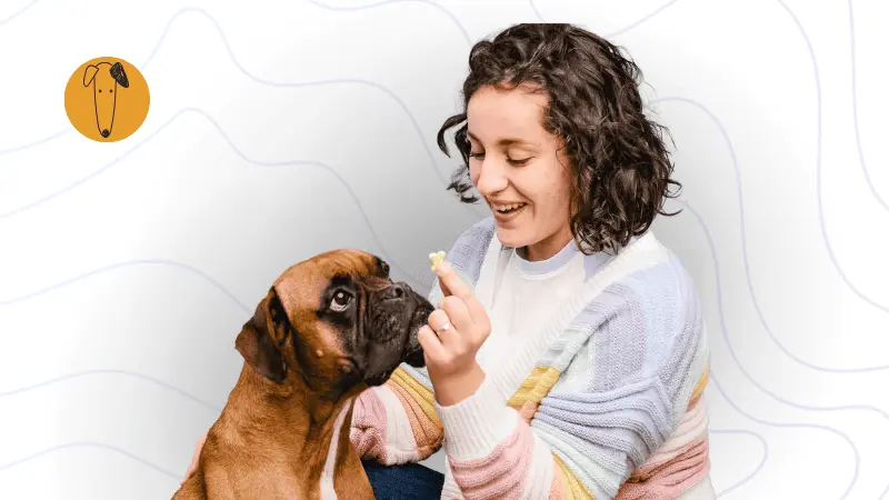 Mujer entrenando a un perro con refuerzo positivo